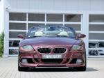 BMW Z4 by Rieger 2010 года